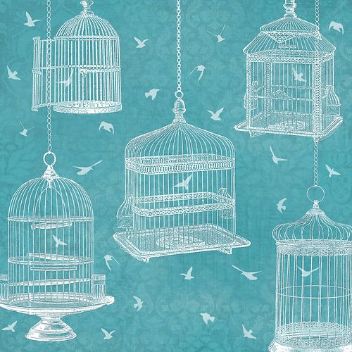 Bird cages