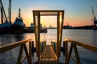 Rotterdamse Haven