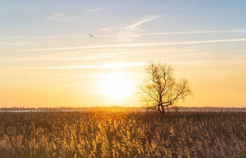 Zuidlaardermeer - Noordlaren (Netherlands) by Marcel Kerdijk