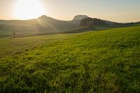 Groene weide en gouden licht 1