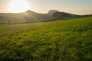 Grüne Wiese und goldenes Licht 1