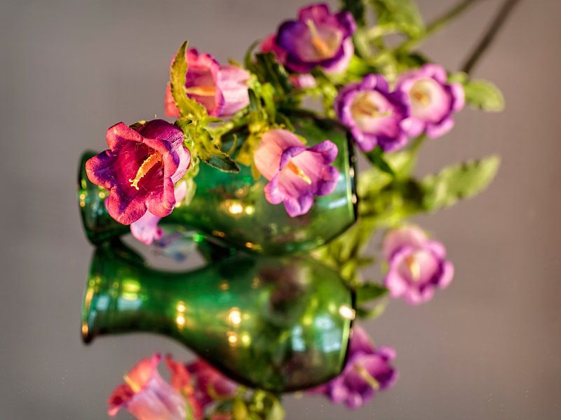 Campanula par Rob Boon
