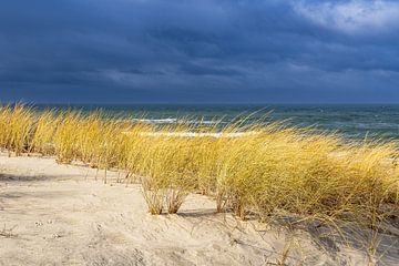 Strand aan de kust van de Baltische Zee bij Graal Müritz