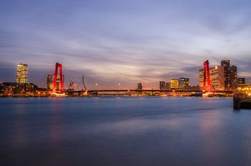 Skyline of Rotterdam with the Willemsbridge RawBird Photo's Wouter Putter