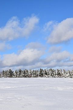 Eine verschneite Gegend unter einem Winterhimmel von Claude Laprise