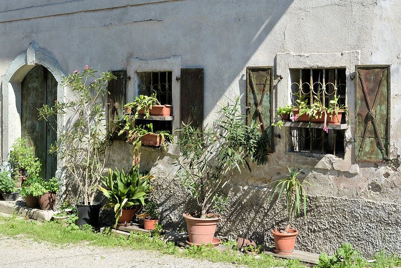 Plantes devant une maison par Heiko Kueverling
