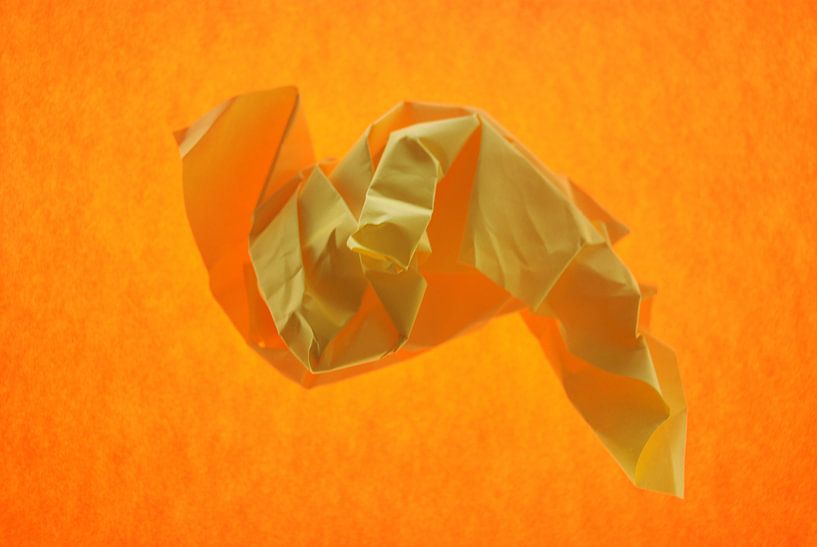 orange yellow by Brigitte van Ark