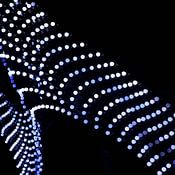 Erik Doddema Profile picture