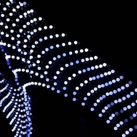 Erik Doddema Profile picture