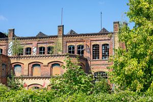 Industriebrache in Magdeburg-Buckau
