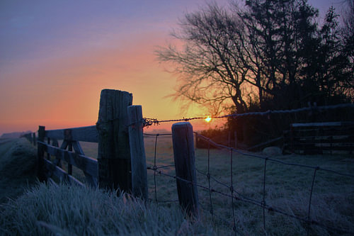 Texel Landscape 011