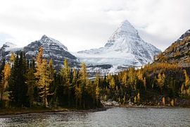 Mt Assiniboine in autumn by Femke van Egmond
