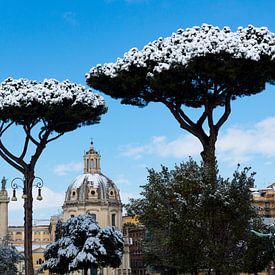 Sneeuw op pijnbomen in Rome von Michel van Kooten