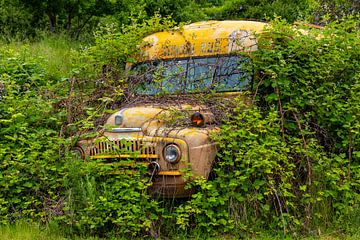 Verroeste schoolbus ergens in Idaho, Verenigde Staten van Adelheid Smitt