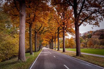 Herfst in het Geuldal van Rob Boon