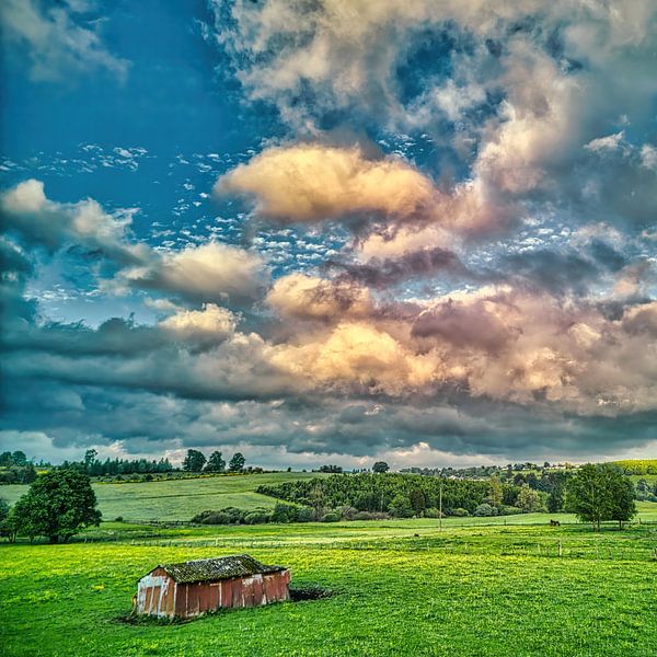 Metal Stable. by Bart Henseler
