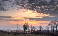Zonsondergang De Onlanden