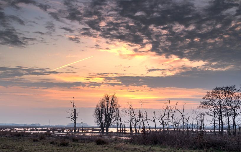 Zonsondergang De Onlanden van Sandra de Heij