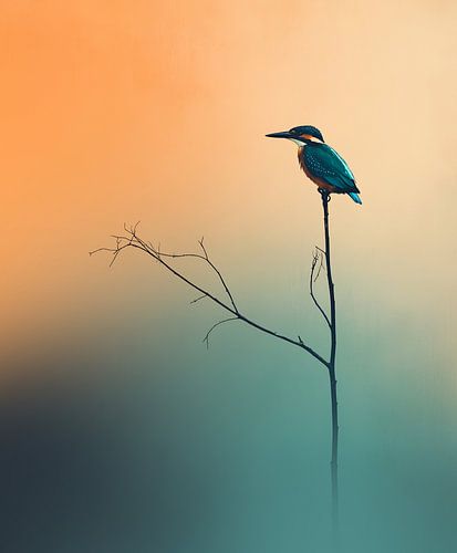 Martin-pêcheur dans le brouillard coloré