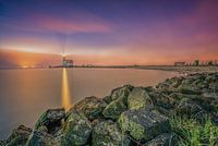 paard van marken 