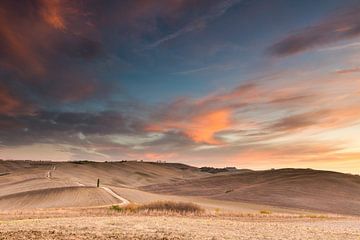 The Tuscan Hills by Damien Franscoise