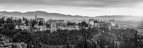 Het Alhambra in Granada in zwart en wit zonlicht