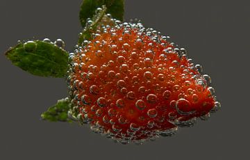 Strawberry with bubbles van Ursula Di Chito