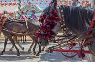 Feria paarden, close up. De Aprilfeesten, Feria de abril de Sevilla van Tjeerd Kruse thumbnail