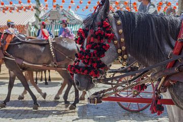 Feria paarden, close up. De Aprilfeesten, Feria de abril de Sevilla