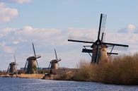 Kinderdijk Netherlands van Brian Morgan thumbnail