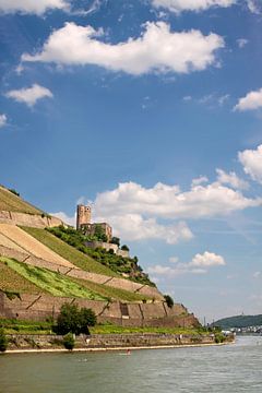 Ruine Ehrenfels bei Rüdesheim, Rheingau by Christian Müringer