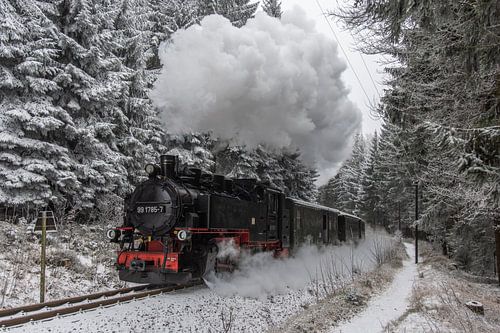 SDG 99-1785, Kretscham-Rothensehma (Fichtelbergbahn) by Marcel Timmer