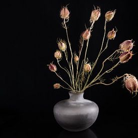 Bouquet of seedpods of the love in the mist by Felix Sedney