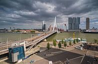 Erasmusbrug | Rotterdam von Rob de Voogd / zzapback Miniaturansicht