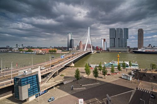 Erasmus Bridge | Rotterdam