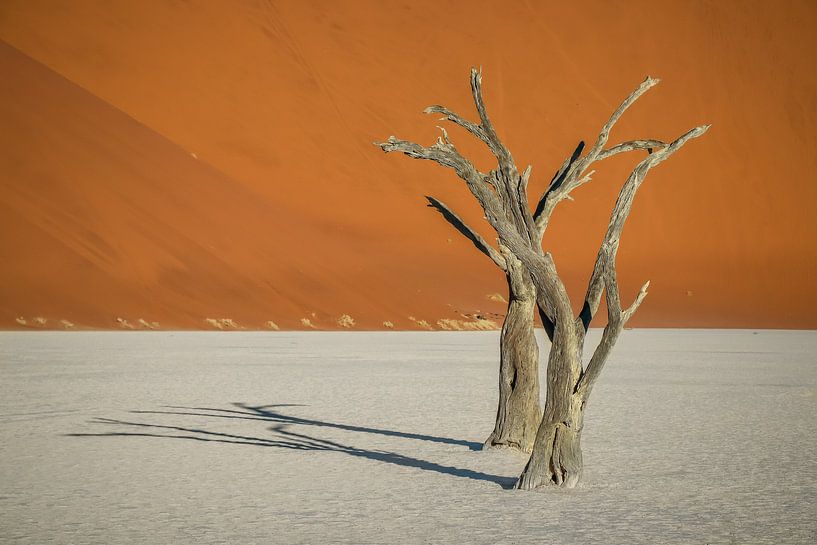 Schitterend landschap van de Deadvlei in de Namib Woestijn in Namibië. van Original Mostert Photography