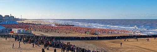 Panoramic new year dive Scheveningen