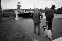 Wachten op de veerboot met hond