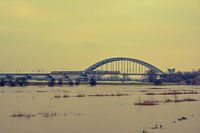 hoog water aan de lek bij Culemborg 