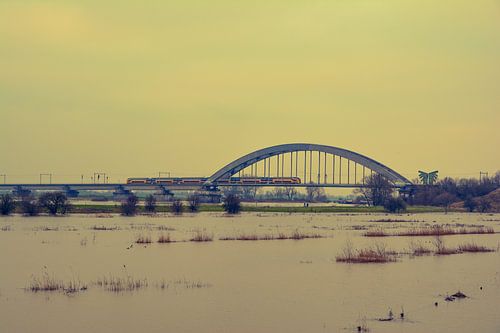 hoog water aan de lek bij Culemborg 