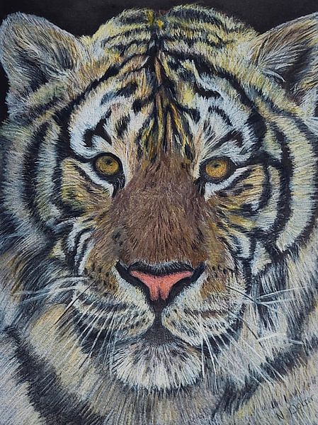 Tijger ‘Majestueuze jager’ van Natascha Dokter