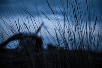 Silence