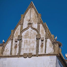 BADEN-WÜRTTEMBERG : COLLEGIALE KERK BAD BUCHAU van Photoart-Naegele