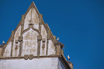 BADEN-WÜRTTEMBERG : COLLEGIALE KERK BAD BUCHAU van Photoart-Naegele