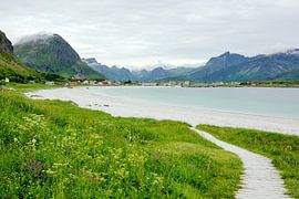 Der Strand von Ramberg auf den Lofoten von Gisela Scheffbuch