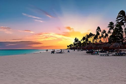 Strand Druif op Aruba met zonsondergang