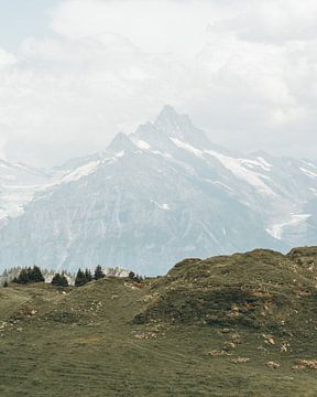 de Alpen in Zwitserland van Teun de Leede