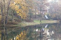 De bos vijver in de ochtend op landgoed Heidestein!
