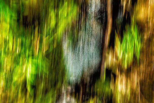 Ademende natuur van Hans Kwaspen