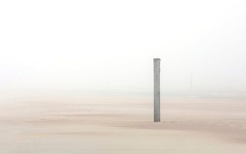Fog on the beach